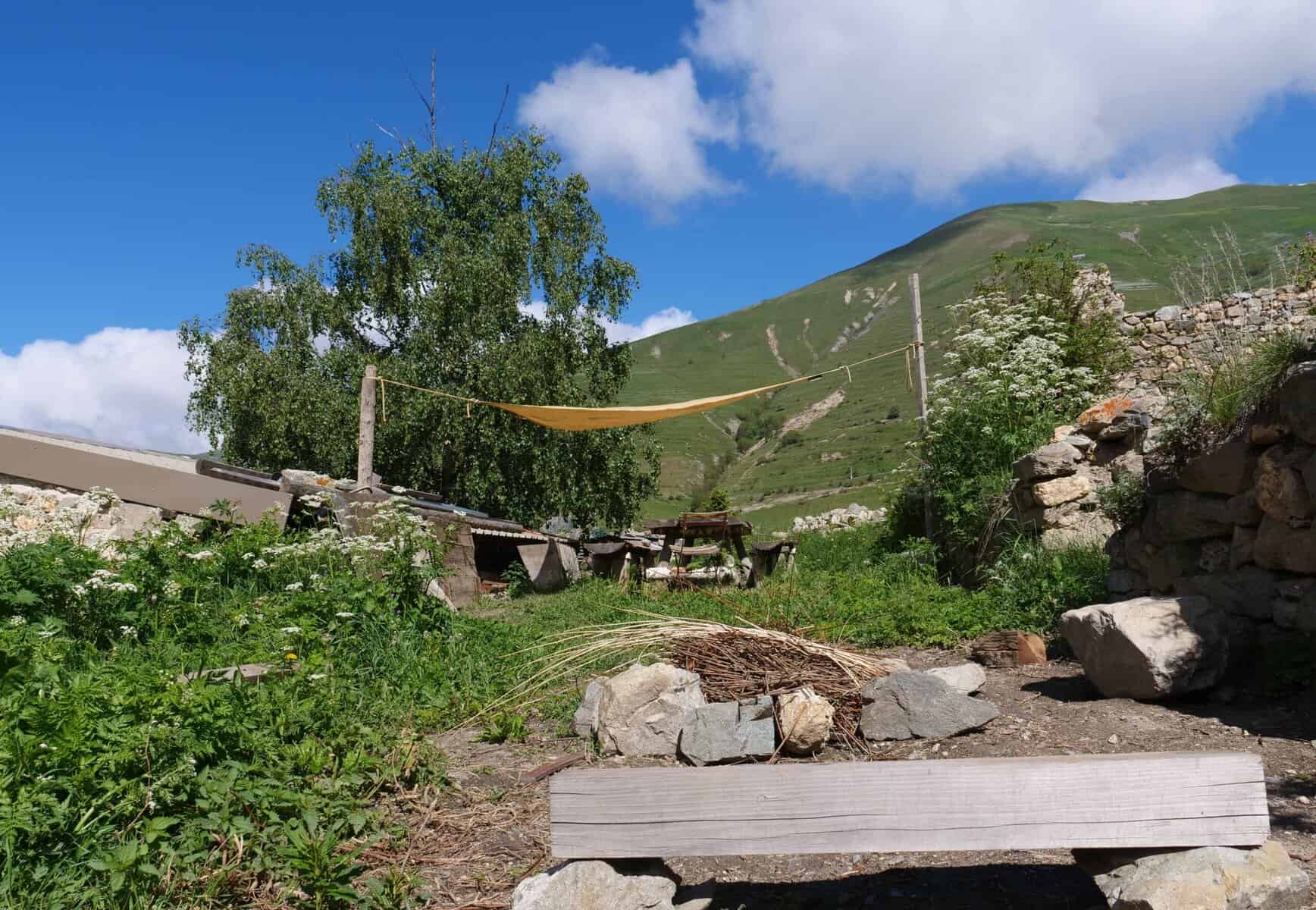 Rucola wächst in einem idyllischen, ländlichen Garten vor einer grünen Berghöhe unter blauem Himmel.