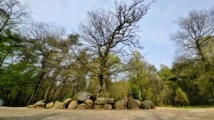 Pfade unserer Ahnen – Düvelsteine bei Heiden
