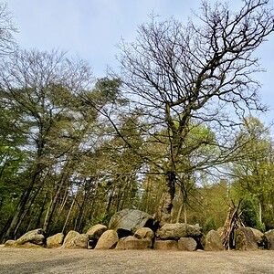 Historischer Steinkreis bei Heiden, umgeben von Bäumen und Natur, Teil der Pfade unserer Ahnen.