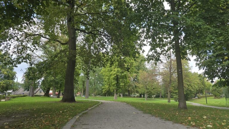 Blick auf den Park bei Heiden mit großen Bäumen, einem Weg und grünem Rasen, typisch für die Region rund um die Düvelsteine.