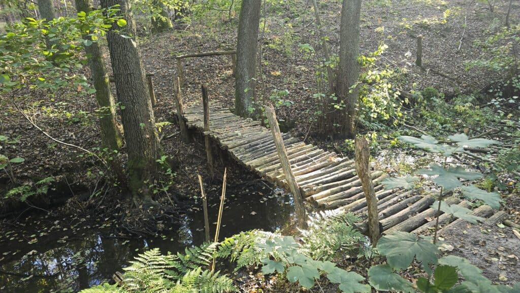 Holzbrücke über das Mühlenfließ
