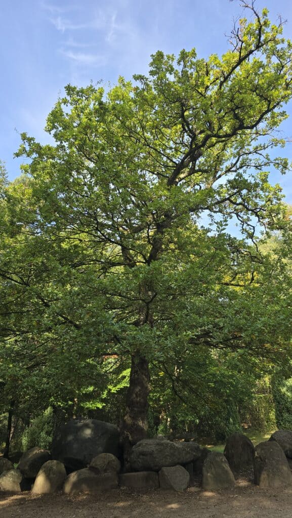 Düvelsteine bei Heiden