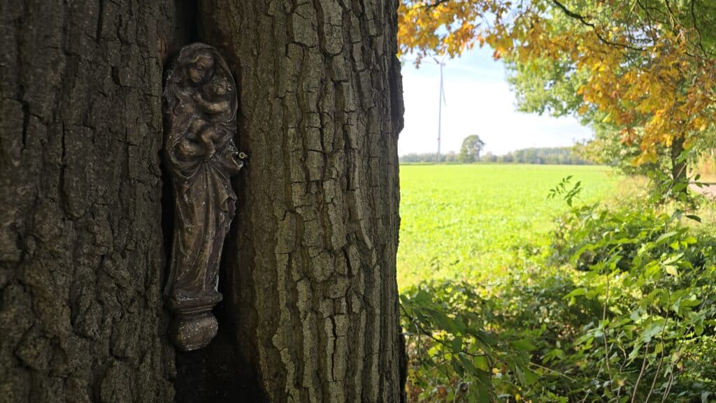 Marienstatue im Baum